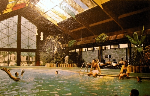 Postcard depicting the tropical pool at the Curtis Hotel and Motor Lounge